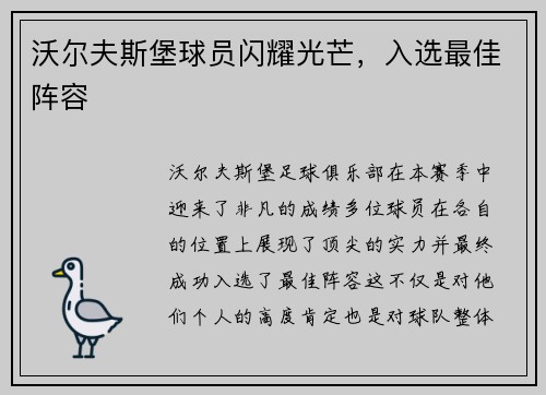 沃尔夫斯堡球员闪耀光芒，入选最佳阵容